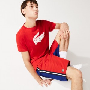 Calção Lacoste Masculino Vermelhas Azuis SPORT Contrast Band Two-Tone Lightweight SQ1-31123J5
