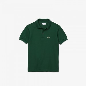 Camisa Polo Lacoste Criança Verdes Petit Piqué YD1-31233K5