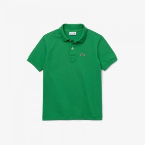 Camisa Polo Lacoste Criança Verdes Petit Piqué QV2-94299G3