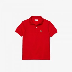 Camisa Polo Lacoste Criança Vermelhas Petit Piqué EM6-50355S1