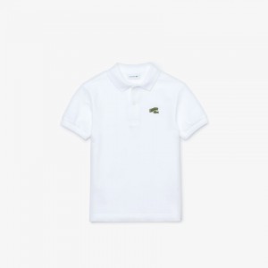 Camisa Polo Lacoste Criança Branco Stylized Logo Cotton Petit Piqué CD5-50625G6