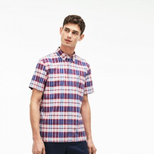 Camisas Lacoste Masculino Vermelhas Regular Fit Check Oxford ZC0-82688C0