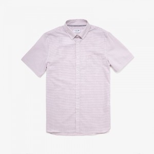 Camisas Lacoste Masculino Branco Luz Rosa Regular- Fit Checkered Cotton FB6-77507G3