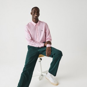 Camisas Lacoste Masculino Luz Rosa Regular Fit Premium Cotton RN7-21602Q9