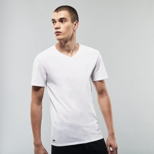 Camiseta Lacoste Masculino Branco 3 Pack of Plains DI8-10071G2
