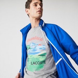 Camiseta Lacoste Masculino Cinzentas Vermelhas Crew Neck Landscape Print Cotton WH4-34393X9