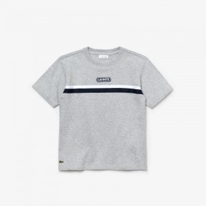 Camiseta Lacoste Criança Cinzentas Branco Azul Marinho Azuis Crew Neck Two-Tone Band Cotton CC4-87998Q4