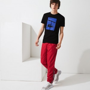Camiseta Lacoste Masculino Pretas SPORT 3D Print Breathable NK5-09820Y1