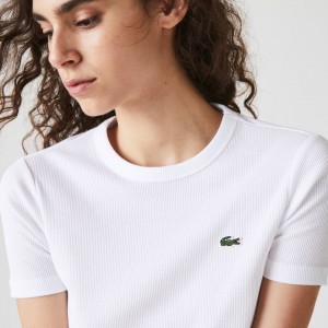 Camiseta Lacoste Feminino Branco Soft Cotton Crew Neck DQ5-03730W4