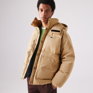 Casacos Lacoste Masculino Bege LIVE Hooded Short BG9-96769O2