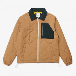 Casacos Lacoste Masculino Bege Verdes Escuro LIVE Quilted FH8-39423Z7