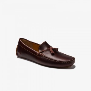Mocassins Lacoste Masculino Marrom Marrom Dress Piloter Tassel PB8-42844V1