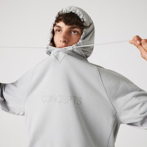 Moletons Lacoste Masculino Cinzentas CONCEPTS Collaboration Hooded Fleece WR5-73357F3