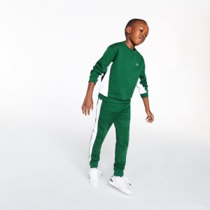 Moletons Lacoste Criança Verdes Branco Crewneck Fleece IT5-62006D0