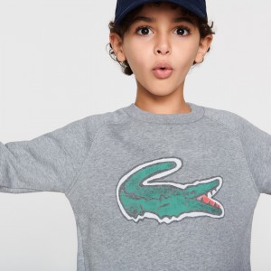 Moletons Lacoste Criança Cinzentas Crocodile Graphic Fleece TB7-73627D1