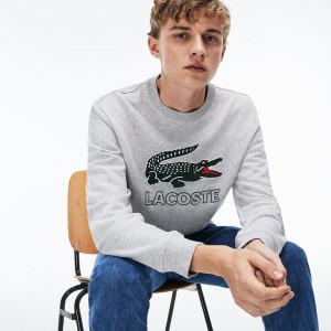 Moletons Lacoste Masculino Cinzentas Graphic Croc BX8-45394A2