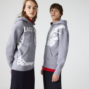 Moletons Lacoste Masculino Cinzentas Branco LIVE Loose Fit Hooded Print Fleece LK1-68176B7