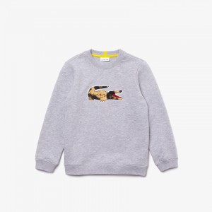 Moletons Lacoste Criança Cinzentas Branco x National Geographic Fleece KO2-09870Y8