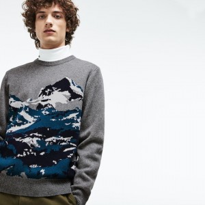 Suéteres Lacoste Masculino Cinzentas Verdes Azuis Branco Crew Neck Alpine Print Wool And Cotton Jacquard UV3-12581U2