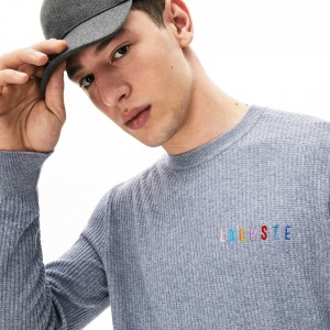 Suéteres Lacoste Masculino Cinzentas Crewneck Embroidered Cotton Blend WK7-32513Q2