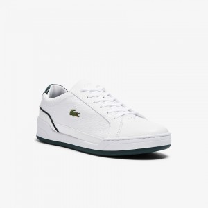 Tenis Lacoste Masculino Branco Challenge Leather ZP1-61216K2
