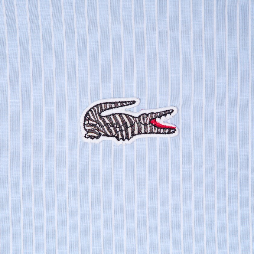 Camisas Lacoste Masculino Azuis Branco x National Geographic Regular Fit Striped Cotton GF2-91319X3