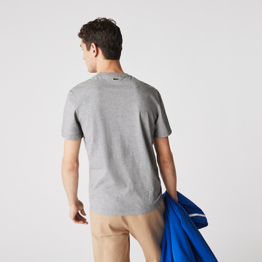 Camiseta Lacoste Masculino Cinzentas Vermelhas Crew Neck Landscape Print Cotton WH4-34393X9