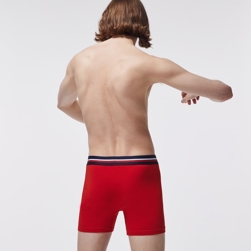 Cuecas Lacoste Masculino Azul Marinho Azuis Cinzentas Vermelhas Pack Of 3 Casual Boxers TK9-34363N6