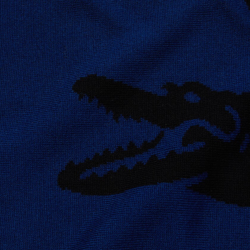 Lenços Lacoste Masculino Pretas Azuis Oversized Crocodile Rectangular Wool AH5-47064T8