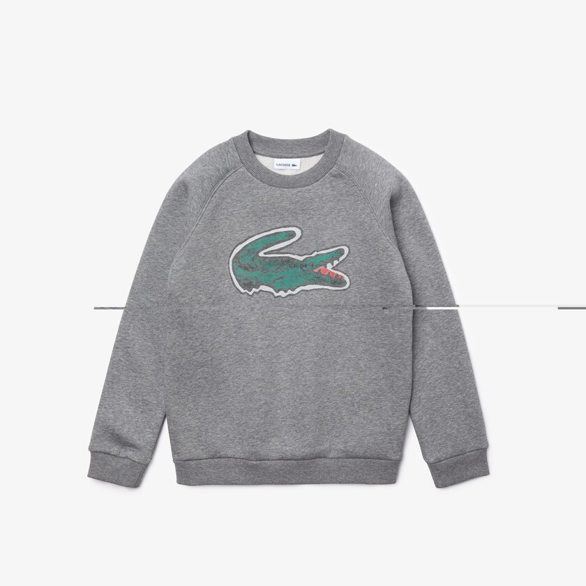Moletons Lacoste Criança Cinzentas Crocodile Graphic Fleece TB7-73627D1