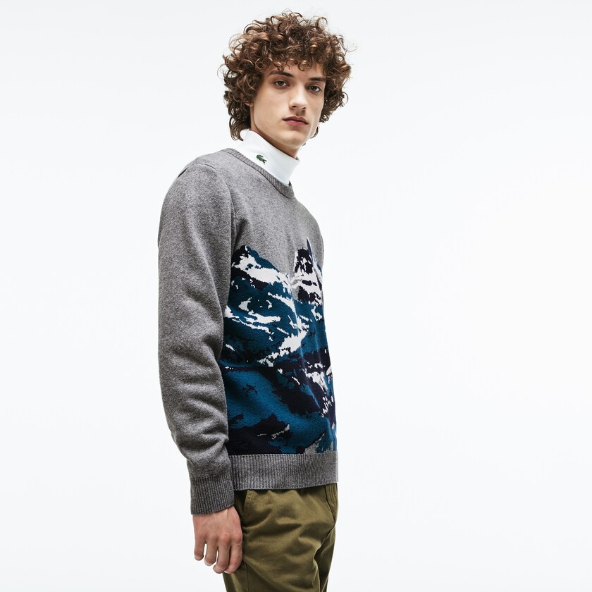 Suéteres Lacoste Masculino Cinzentas Verdes Azuis Branco Crew Neck Alpine Print Wool And Cotton Jacquard UV3-12581U2