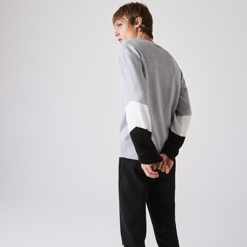 Suéteres Lacoste Masculino Cinzentas Branco Pretas Crew Neck Colorblock Cotton RR1-90949T3