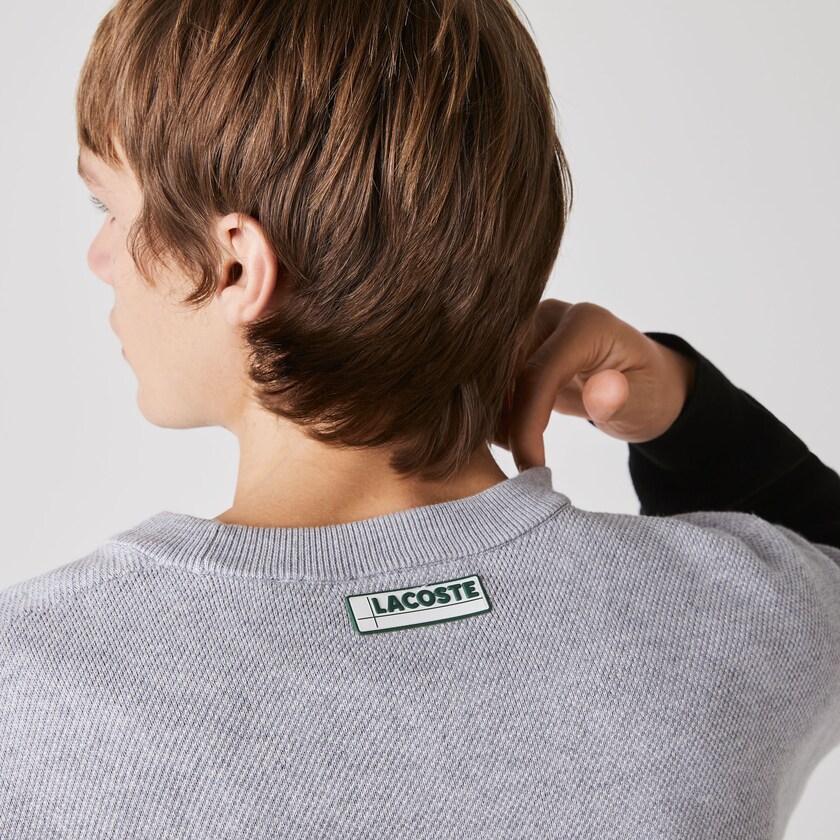 Suéteres Lacoste Masculino Cinzentas Branco Pretas Crew Neck Colorblock Cotton RR1-90949T3